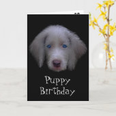 青い目の子犬の誕生日カード カード (黄色い花)