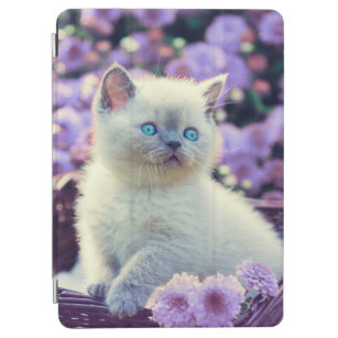 青い目の子猫と薄紫の花 iPad AIR カバー