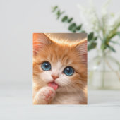 青い目の子猫の前足をペロペロ ポストカード (スタンド正面)