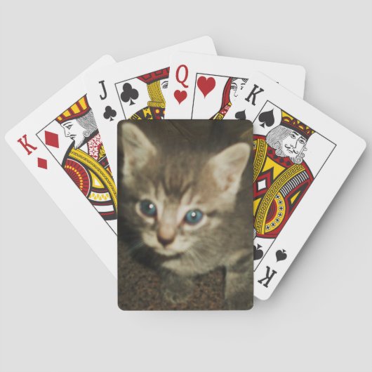 青い目の子猫遊カード トランプ (裏面)