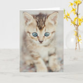 青い目の子猫 カード (黄色い花)