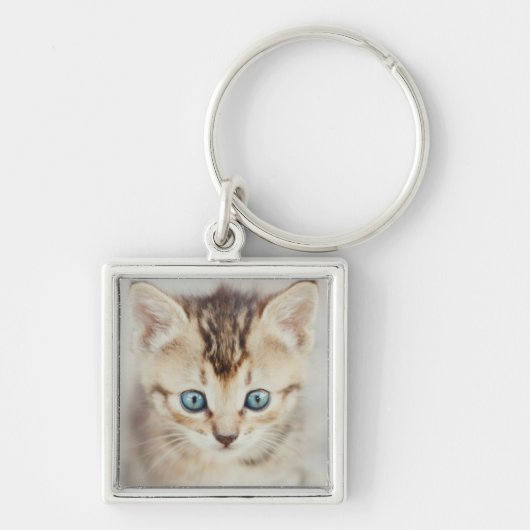 青い目の子猫 キーホルダー (正面)