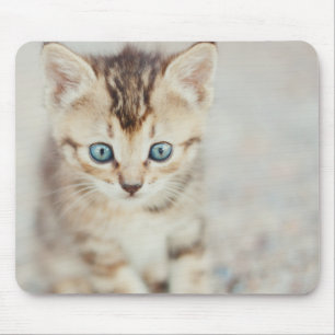 青い目の子猫 マウスパッド