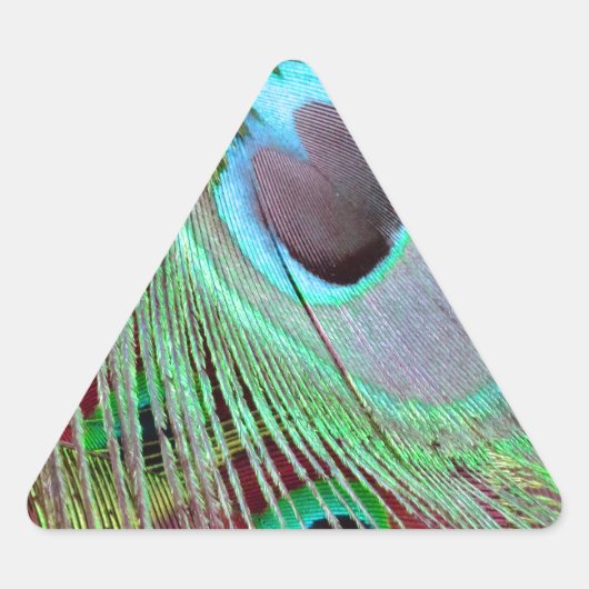 青い目の孔雀の流れる羽根。 三角形シール (正面)