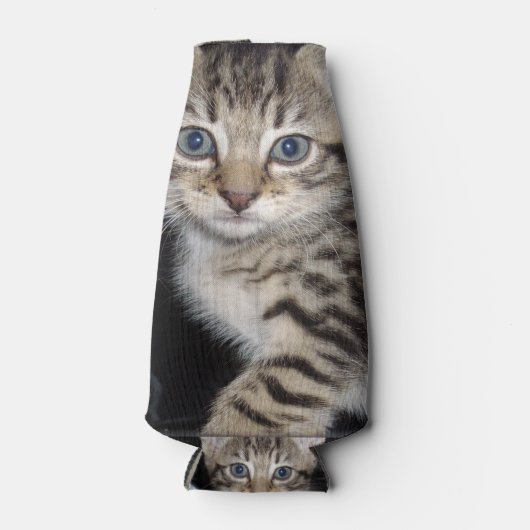 青い目の灰色のふわふわの子猫 ボトルクーラー (正面)