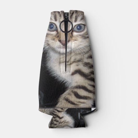 青い目の灰色のふわふわの子猫 ボトルクーラー (裏面)