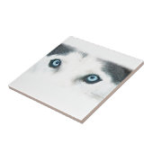 青い目の犬は風を見ることができます タイル (側面)