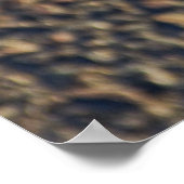 青い目の猫 ポスター (角)