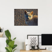 青い目の猫 ポスター (ホームオフィス)