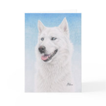 青い目の白いシベリアンハスキー