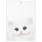 青い目の白いペルシャの子ネコの顔 クリップボード (裏面)