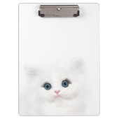 青い目の白いペルシャの子ネコの顔 クリップボード (正面)
