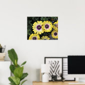 青い目の美しいアフリカのデイジーOsteospermumポスター ポスター (ホームオフィス)