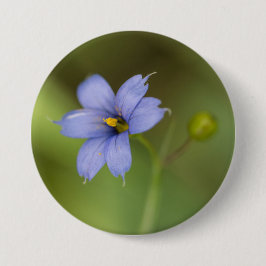 青い目の草の野生の花の花柄ボタン 缶バッジ