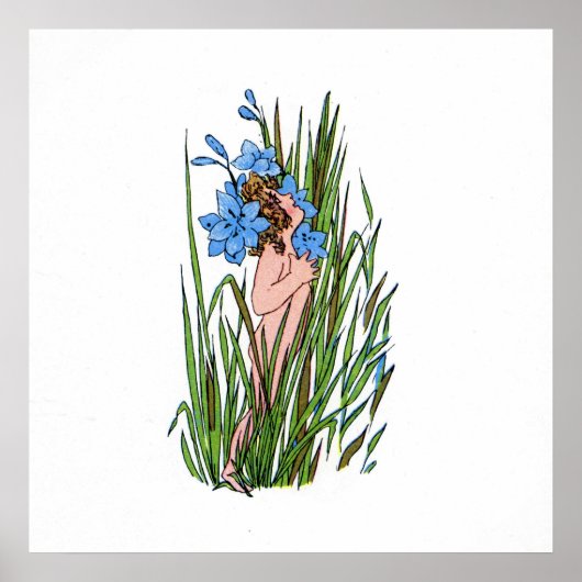 青い目の草 ポスター (正面)