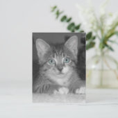 青い目はがき ポストカード (スタンド正面)