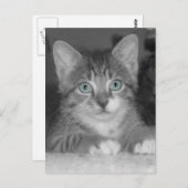 青い目はがき ポストカード (正面/裏面)