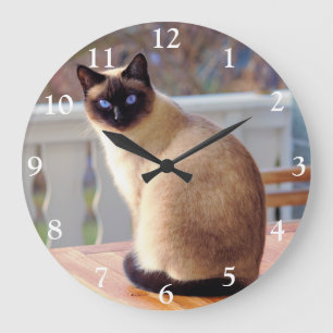 青い目をしたシャム猫大きな時計 ラージ壁時計