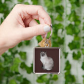 青い目をしたシャム猫 キーホルダー (手)