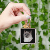 青い目をしたシャム猫 キーホルダー (手)