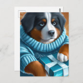 青い目をしたバーニーズ・マウンテン・ドッグのプレゼント ポストカード (正面/裏面)