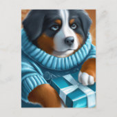 青い目をしたバーニーズ・マウンテン・ドッグのプレゼント ポストカード (正面)