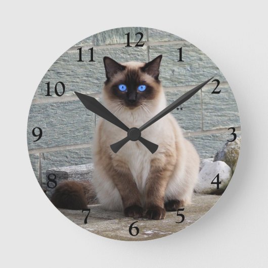 青い目をしたフワフワのシャム猫 ラウンド壁時計 (正面)