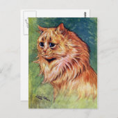 青い目をしたマーマレード猫 ポストカード (正面/裏面)