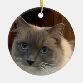 青い目をしたラグドール猫パーソナライズされたは セラミックオーナメント