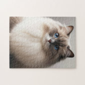 青い目をしたラグドール猫 | フワフワの贅沢 ジグソーパズル (横)