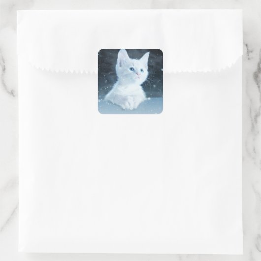 青い目をした可愛いかわいらし白い子猫 スクエアシール (バッグ)