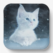 青い目をした可愛いかわいらし白い子猫 ペーパープレート (正面)