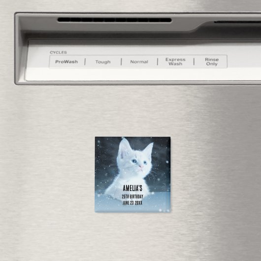 青い目をした可愛いかわいらし白い子猫 マグネット (インサイチュ (食洗機))