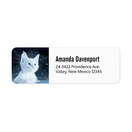 青い目をした可愛いかわいらし白い子猫 ラベル (正面)