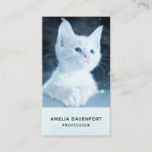 青い目をした可愛いかわいらし白い子猫 名刺 (正面)