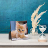 青い目をした可愛い猫 フォトプラーク (インサイチュ)