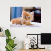 青い目をした可愛い猫 ポスター (ホームオフィス)