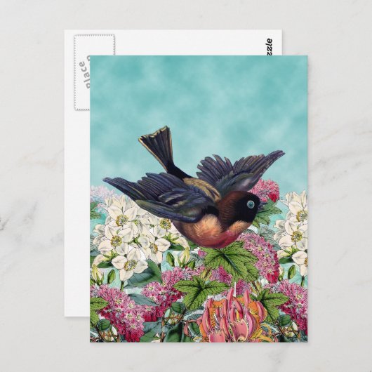 青い目をした最もかわいい鳥が花の上を飛んでいる ポストカード (正面/裏面)