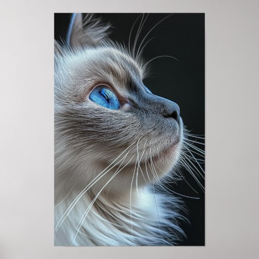 青い目をした灰色の猫 ポスター (正面)