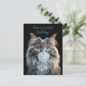 青い目をした猫が青いバブルガムを吹く ポストカード (スタンド正面)