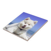 青い目をした白いハスキーの子犬 タイル (側面)