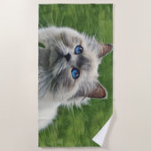 青い目をした白いペルシャ猫 ビーチタオル (正面)