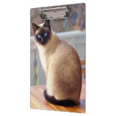 青い目をした美しいシャム猫 クリップボード (左)