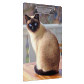 青い目をした美しいシャム猫 クリップボード (右)