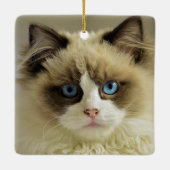 青い目をした美しいラグドール猫 セラミックオーナメント (裏面)