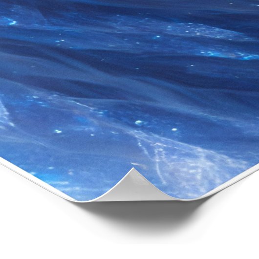 青い目をした美しい白い神秘的なライオン ポスター (角)