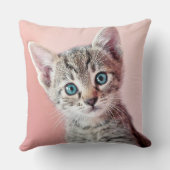 青い目を持つかわいい子ネコ クッション (裏面)