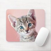 青い目を持つかわいい子ネコ マウスパッド (マウス)