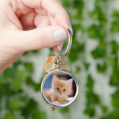 青い目を持つかわいい猫 キーホルダー (手)