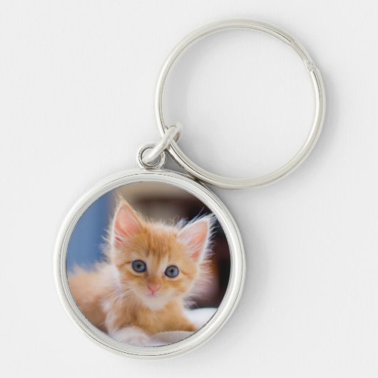 青い目を持つかわいい猫 キーホルダー (正面)